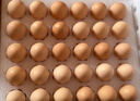 京鲜生 无抗保洁鲜鸡蛋30枚/盒 健康轻食 礼盒送礼 1.5kg/盒 源头直发 实拍图