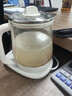 小熊（Bear）养生壶 煮茶壶 恒温水壶 保温烧水一体电热水壶花茶壶 316L不锈钢 1.5L大容量 YSH-J15H8 实拍图