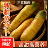 【真便宜】新疆冰糖心金黄胡萝卜水果萝卜新鲜蔬菜手抓饭直播间 黄胡萝卜 含箱5斤 实拍图