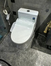 恒洁（HEGII）马桶568 超旋风双漩大冲力虹吸式抗菌家用节水坐便器DC0568DT-305 实拍图