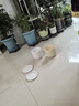 盆生花道特价花盆陶瓷简约透气带托盘家用阳台盆栽绿植多肉盆厂家 大号雅典古瓷白(配托) 无规格 实拍图