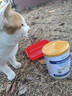 新宠之康 宠物羊奶粉400g狗狗猫咪成幼犬猫泰迪金毛羊奶粉营养补充 实拍图