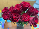 京东鲜花玫瑰花红色玫瑰10枝如意基地鲜切花水养插花生活花束送礼源头直发 实拍图