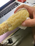 顾果鲜广西白糯牛奶玉米9斤新鲜现摘黏粘棒子带皮生苞米甜嫩农家自种 9斤 实拍图