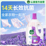 滴露（Dettol）衣物除菌液薰衣草3L 99.9%杀菌除螨 内衣衣物消毒液 可配洗衣液 实拍图