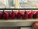 红啤梨当季新鲜水果红皮梨子彩虹香软糯梨太婆红宝石酥甜梨整箱 3斤（精品果） 实拍图