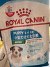 皇家狗粮 幼犬狗粮 宠物 小型犬 MIJ31 全价犬粮 2-10月 2KG 实拍图