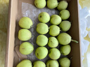 京鲜生新疆库尔勒香梨净重5斤单果100g+ 全母梨 年货水果礼盒 源头直发 实拍图