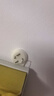 无痕钉墙钉墙壁挂画免打孔强力承重隐形挂钩挂照片相框婚纱照钩子 无痕钉【中号】 【5个装】 实拍图
