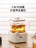 BASSENS巴森小方炖全玻璃养生壶1.2L煮茶壶养生烧水壶一体水壶恒温壶0胶0拼接材质迷你煮茶器烧水BS-D5 实拍图