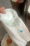帮宝适超薄透气清新帮拉拉裤新生儿婴儿尿不湿尿片透氧Pro XL84 实拍图