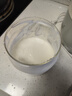 小熊（Bear）酸奶机 家用全自动希腊酸奶奶酪米酒机酸奶发酵菌玻璃内胆陶瓷分杯 SNJ-C10V3 实拍图