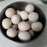 芮瑞 农家散养新鲜现捡土鸡蛋笨鸡蛋谷物柴鸡蛋初生蛋 单枚40g±3g 20枚 实拍图
