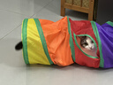 欢宠网猫玩具猫咪猫隧道彩虹钻洞袋子迷宫通道逗猫自嗨神器解闷猫猫小猫 实拍图