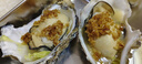 乳山牡蛎 鲜活乳山生蚝4XL 净重5斤 11-12只 生鲜海鲜 年货送礼 源头直发 实拍图