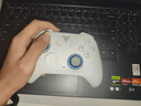 飞智冰原狼4多模版无线游戏手柄 类xbox 力调节摇杆双切扳机 switch电脑PC手机steam体感NS 丝之歌 实拍图