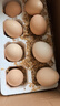 土鸡蛋农家散养新鲜柴鸡蛋孕妇笨鸡蛋40-50g正宗草鸡蛋谷物蛋整箱 8枚40-50 实拍图