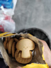 江中猴姑养胃猴头菇菌菇饼干礼盒900g酥性低糖高钙营养早餐健康休闲零食 实拍图