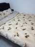 皇朝家私仿生羊绒四件套 A类高克重牛奶绒套件 冬季加厚床上床单被套200*230cm 春屿米 实拍图