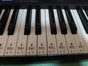 特伦斯折叠钢琴88键便携式电钢琴成人儿童电子琴重力度键盘V30pro钢琴 炫酷黑+专用琴包 实拍图