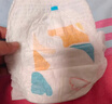 京东京造婴儿拉拉裤尿不湿纸尿裤Cloud云柔XXXXL38片(20kg以上)超薄透气 实拍图
