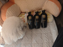 吕（Ryo）黑吕洗发水400ml*3固发修护发质柔顺发丝洗发露韩国进口 实拍图