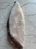海名威 冷冻格陵兰比目鱼400g 4-5片 鲽鱼 生鲜鱼类 海鲜水产 深海鱼  实拍图