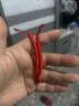 中高考好运红绳可调节手链祝福幸运上岸励志节节高升手绳 红绳2根装 实拍图
