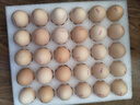 京鲜生柴鸡蛋30枚 3斤 无抗生素 谷物喂养鲜鸡蛋 源头直发 实拍图