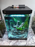 米家智能桌面鱼缸+画法几何仿蕨类沉木造景套餐 实拍图