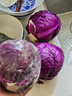 京地达山东新鲜紫甘蓝紫 净重5斤 单颗500g+包菜球起源头直发包邮 实拍图