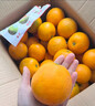 果果牛湖南麻阳冰糖橙 应当季新鲜水果手剥甜橙子高山夏脐血多汁 可选 净重9斤(单果60-65mm)推荐 实拍图