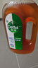滴露（Dettol）消毒液洗衣衣物消毒水750mL除螨 家居地板杀菌 灭杀甲流感 非84 实拍图
