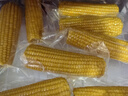 十月稻田 黄甜糯玉米 8根 3.52斤 真空包装 东北粘玉米棒 低脂早餐 实拍图