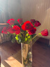 红色单头玫瑰10枝 实拍图