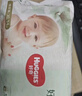 好奇（Huggies）小森林拉拉裤XXL30片(15kg以上)尿不湿心钻【透氧顶配更低敏】 实拍图