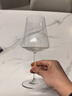 Ocean进口红酒杯葡萄酒杯家用高脚杯勃艮第玻璃酒具620ML6支 实拍图