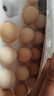 京鲜生可生食标准鲜鸡蛋30枚礼盒装3斤 源头直发 实拍图