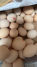 密农人家新鲜土鸡蛋 正宗农家土鸡蛋 生鲜鸡蛋 柴鸡蛋农家笨鸡蛋包邮 60枚 实拍图