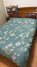 艾薇 A类被套单件纯棉被套单人加大全棉被罩单件 180*200cm 清馨花园 实拍图