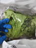散叶生菜约400g 实拍图