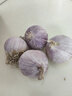 2025鲜蒜新鲜现挖独头大蒜紫皮湿蒜农家红皮蔬菜独蒜批发 特大果【果径30-35mm】紫皮独蒜 带箱3斤-净重2.8斤 实拍图