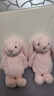 Jellycat害羞乳白色邦尼兔动物毛绒玩偶安抚玩偶娃娃新年生日礼物 害羞粉色邦尼兔 Medium 实拍图