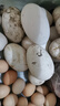 百世富泽（BAISHIFUZE）【百世富泽】黄河滩大鹅蛋新鲜正宗土鹅蛋农家自养孕妇超大鹅蛋 12枚170-230克 实拍图