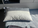 京东京造五星级酒店羽绒枕头 优质白鹅绒蓬松柔软成人男女枕芯  单只中枕 实拍图