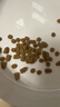 奥丁（ODIN）猫粮 美短英短蓝猫暹罗猫 鱼肉味猫咪食品 成猫全价猫粮2kg 实拍图