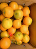 京鲜生 云南哀牢山冰糖橙/橙子 净重5斤 单果130g-170g 生鲜水果礼盒 实拍图