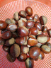 【东东农场专供】25年丹东新板栗生板栗炒菜专用新鲜蔬菜生鲜 25年新下树 2斤 送栗爪 实拍图