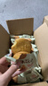 悠谷翁猴头菇饼干养胃酥性休闲零食曲奇早餐饼干糕点心整箱年货送礼3斤 实拍图