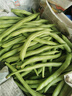 农家四季豆新鲜现摘云南长扁豆角农家应当季蔬菜芸豆现摘菜豆 新鲜四季豆2斤带箱 实拍图